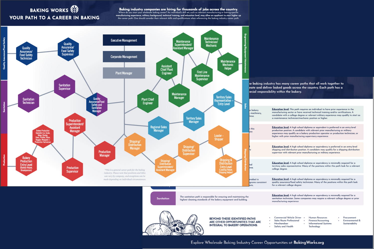 career path graphic