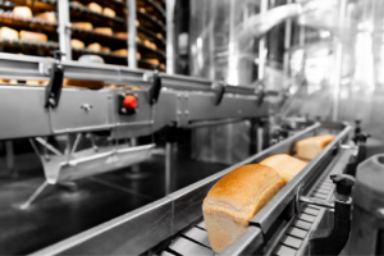 bread manufacturing