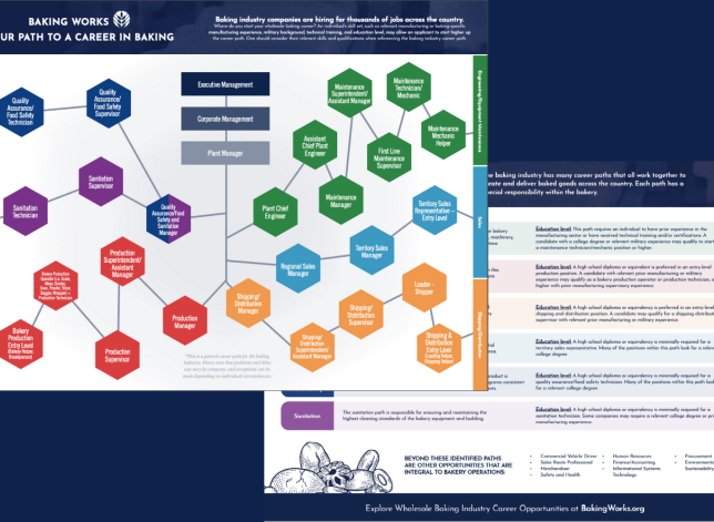 career path graphic